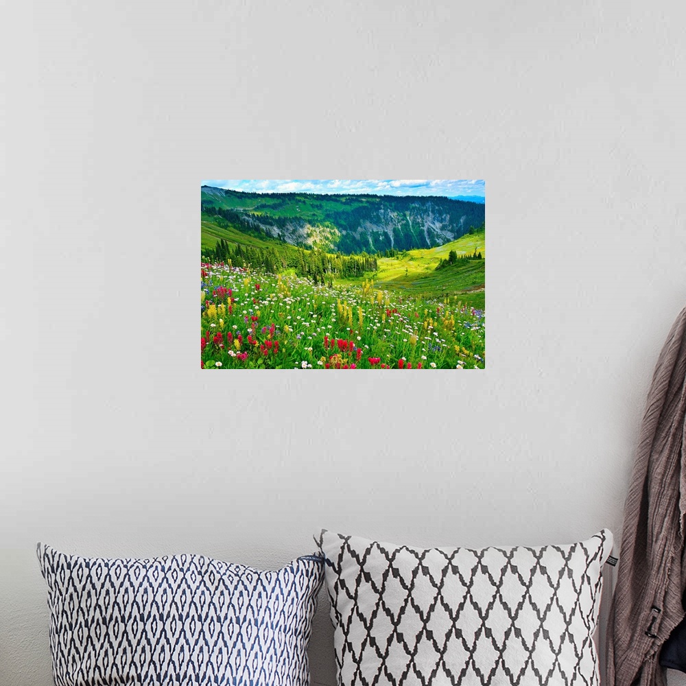 A bohemian room featuring Wild flowers blooming on top of Mount Rainier during the summer.