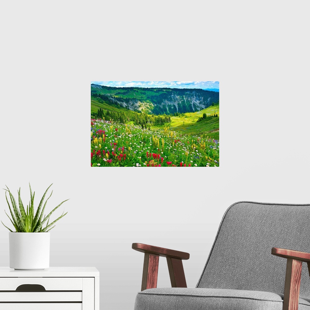 A modern room featuring Wild flowers blooming on top of Mount Rainier during the summer.