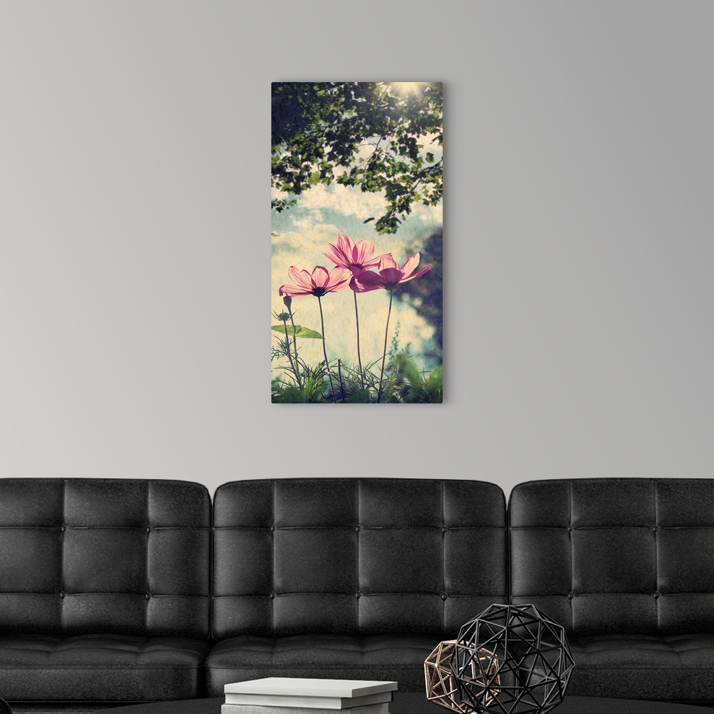 A modern room featuring Wild flowers on sunny summer afternoon.
