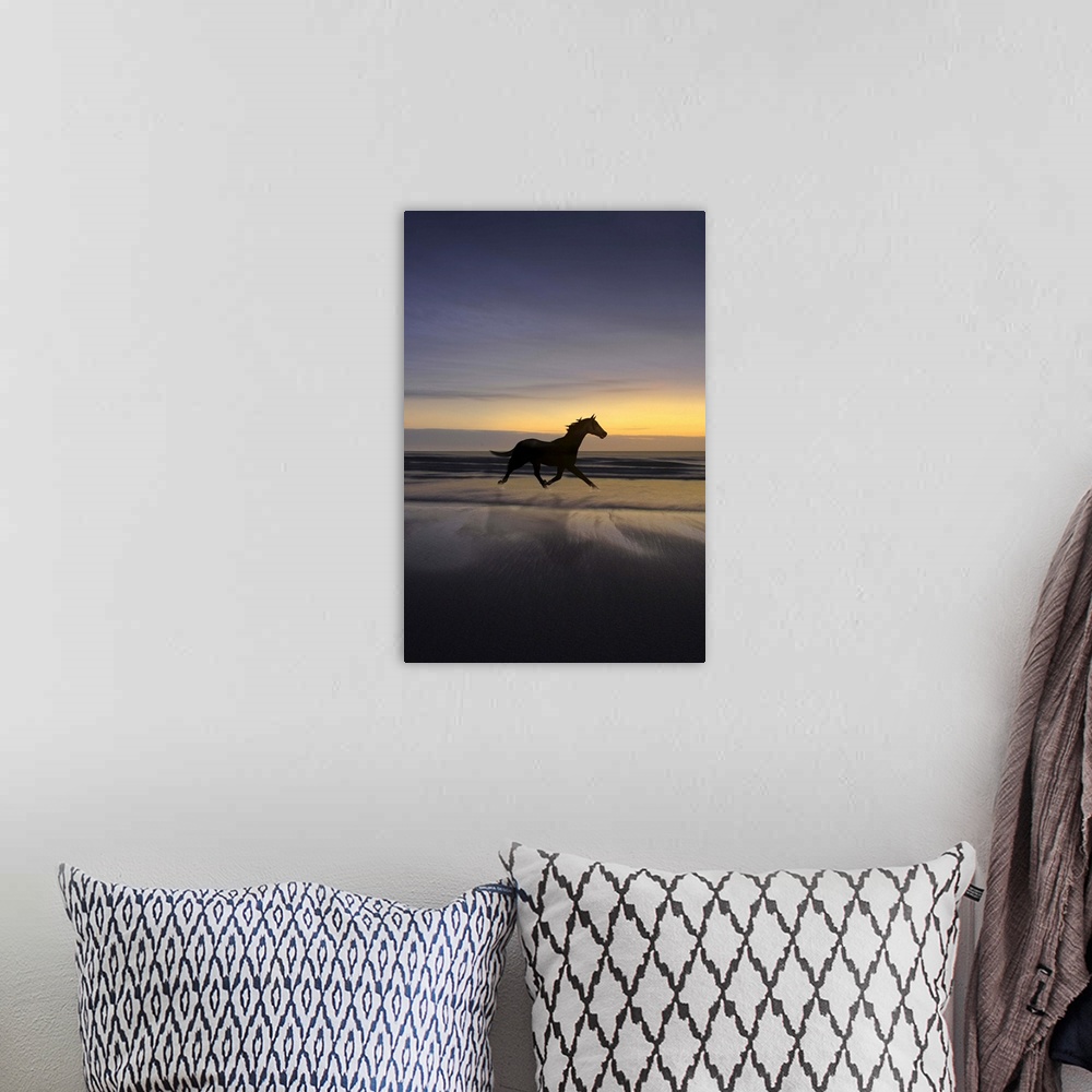 A bohemian room featuring Wild horse running on beach at sunset with reflection in water.