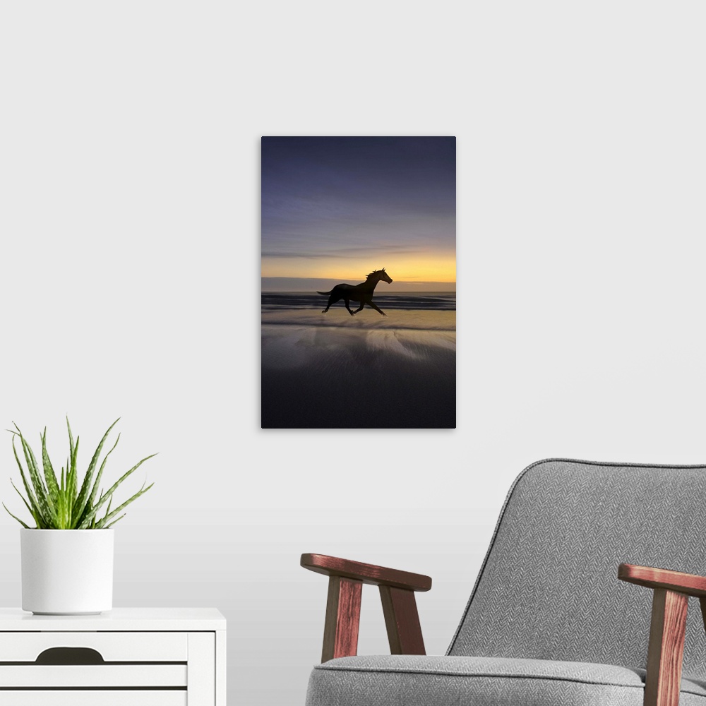A modern room featuring Wild horse running on beach at sunset with reflection in water.