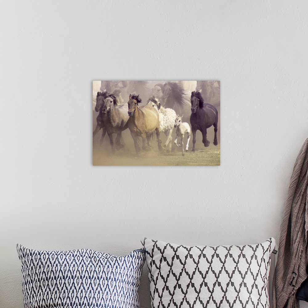 A bohemian room featuring An untamed herd of horses galloping in a field.