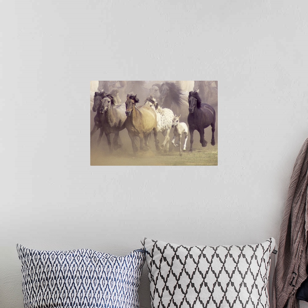 A bohemian room featuring An untamed herd of horses galloping in a field.