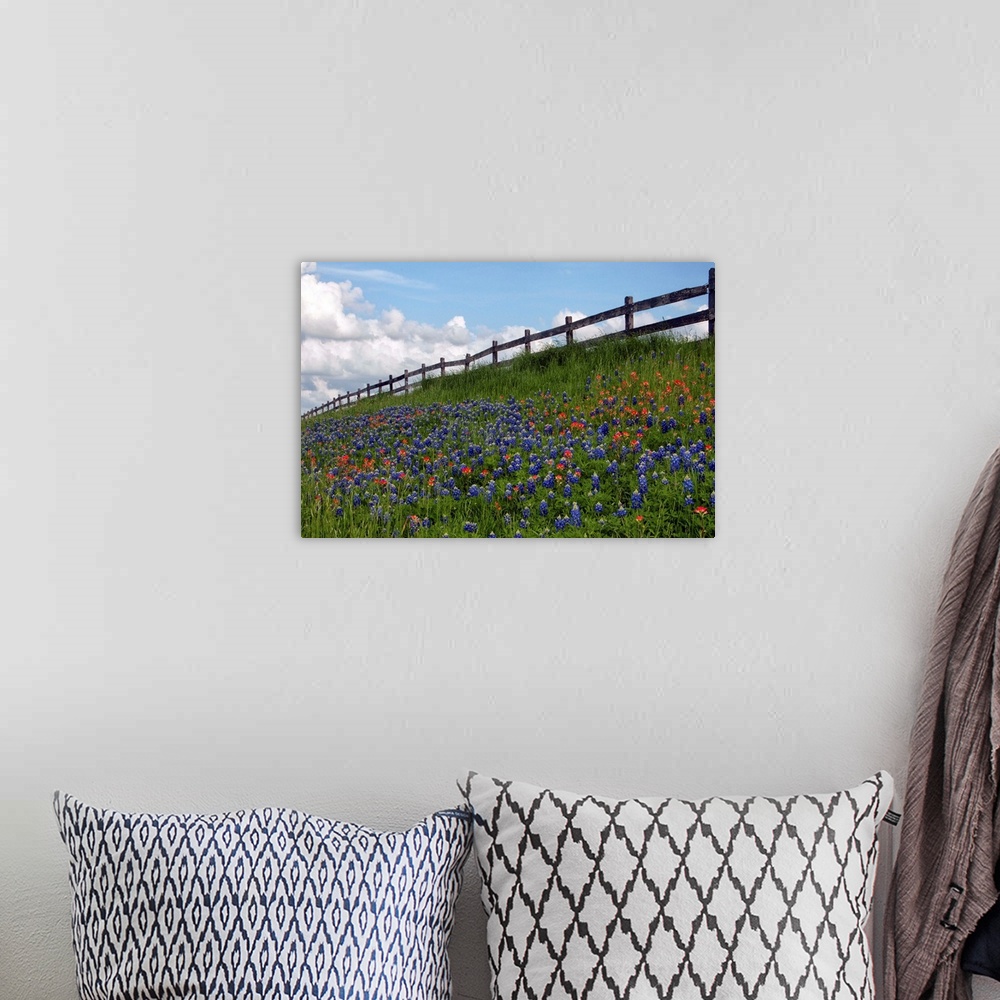 A bohemian room featuring View of wildflower heaven against blue sky, Washington County, Texas.