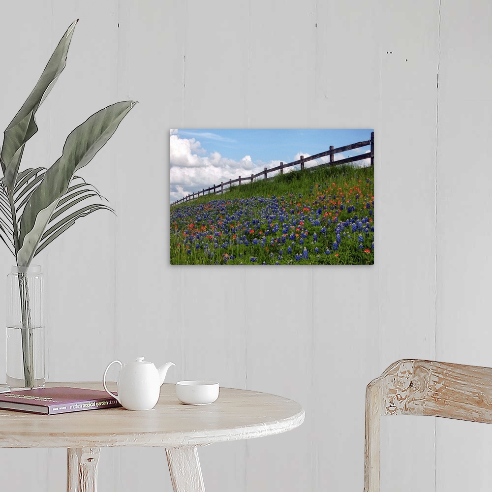 A farmhouse room featuring View of wildflower heaven against blue sky, Washington County, Texas.