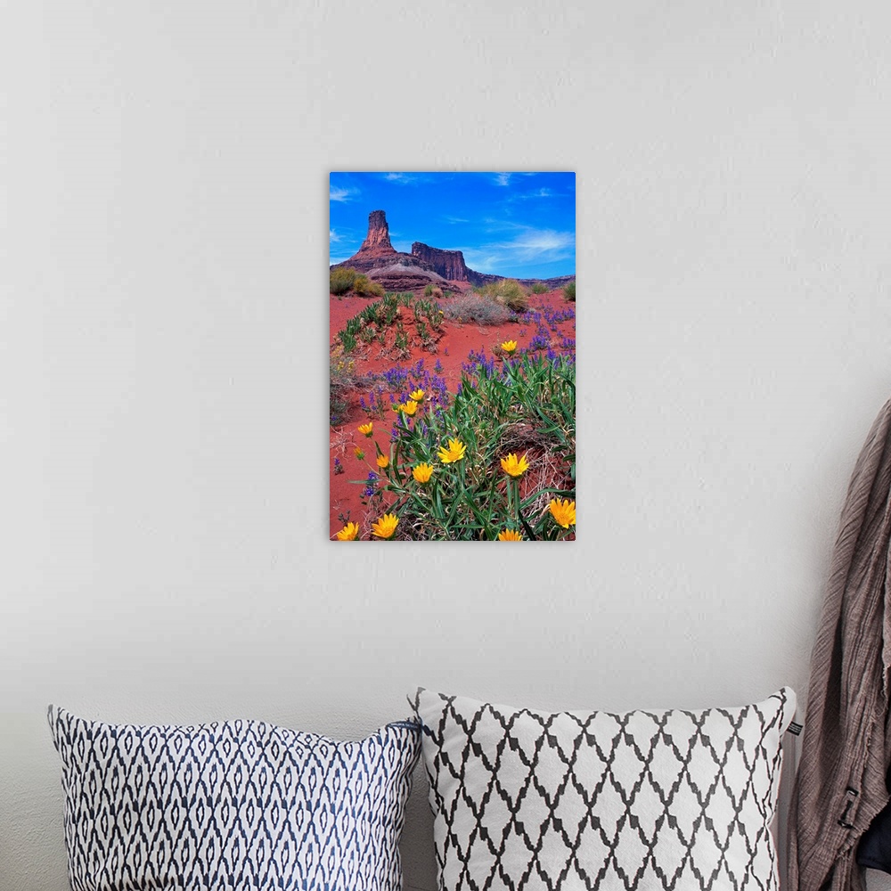 A bohemian room featuring Wildflowers At Dead Horse Point