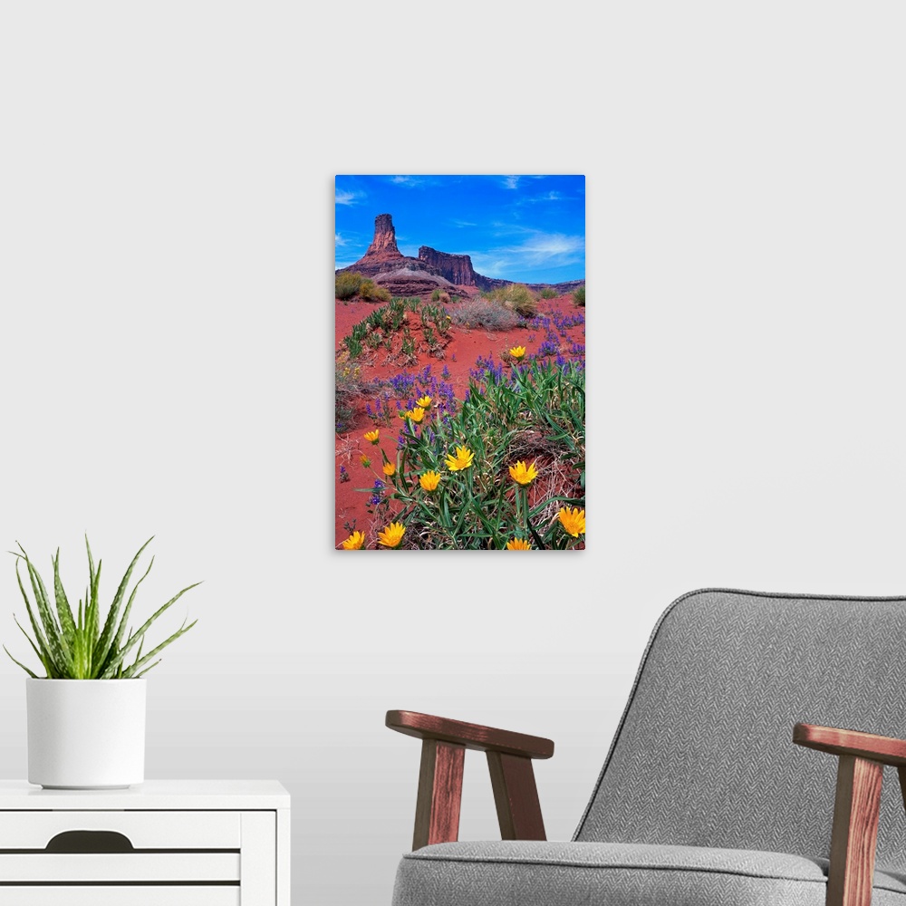 A modern room featuring Wildflowers At Dead Horse Point