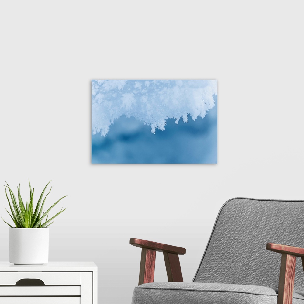 A modern room featuring Natural snowflakes on snow.