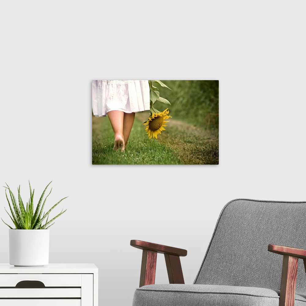 A modern room featuring Woman bare feet walking on grass holding sunflower.