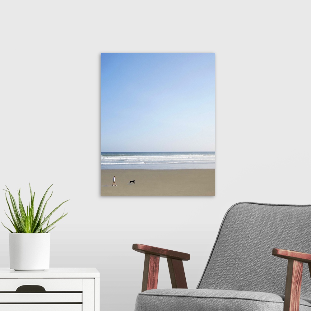 A modern room featuring Woman walking her dog on the beach