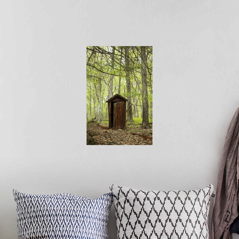 A bohemian room featuring Wooden outhouse in the forest