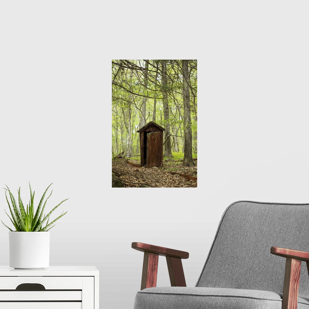A modern room featuring Wooden outhouse in the forest