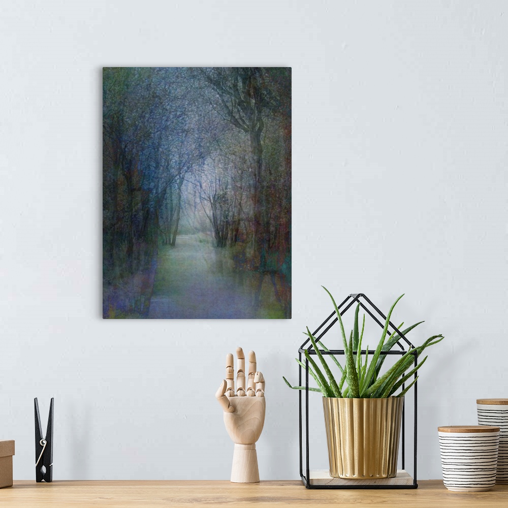 A bohemian room featuring Woods with a pathway