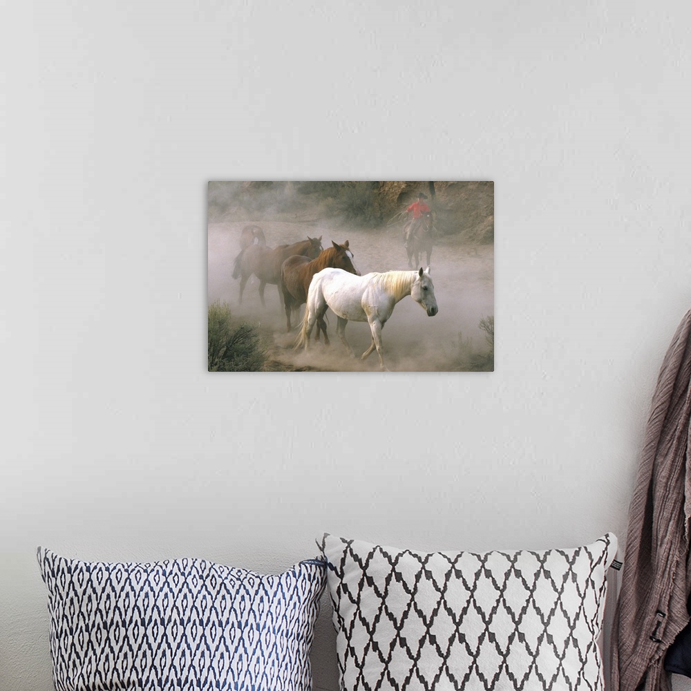 A bohemian room featuring Wrangler With Horses