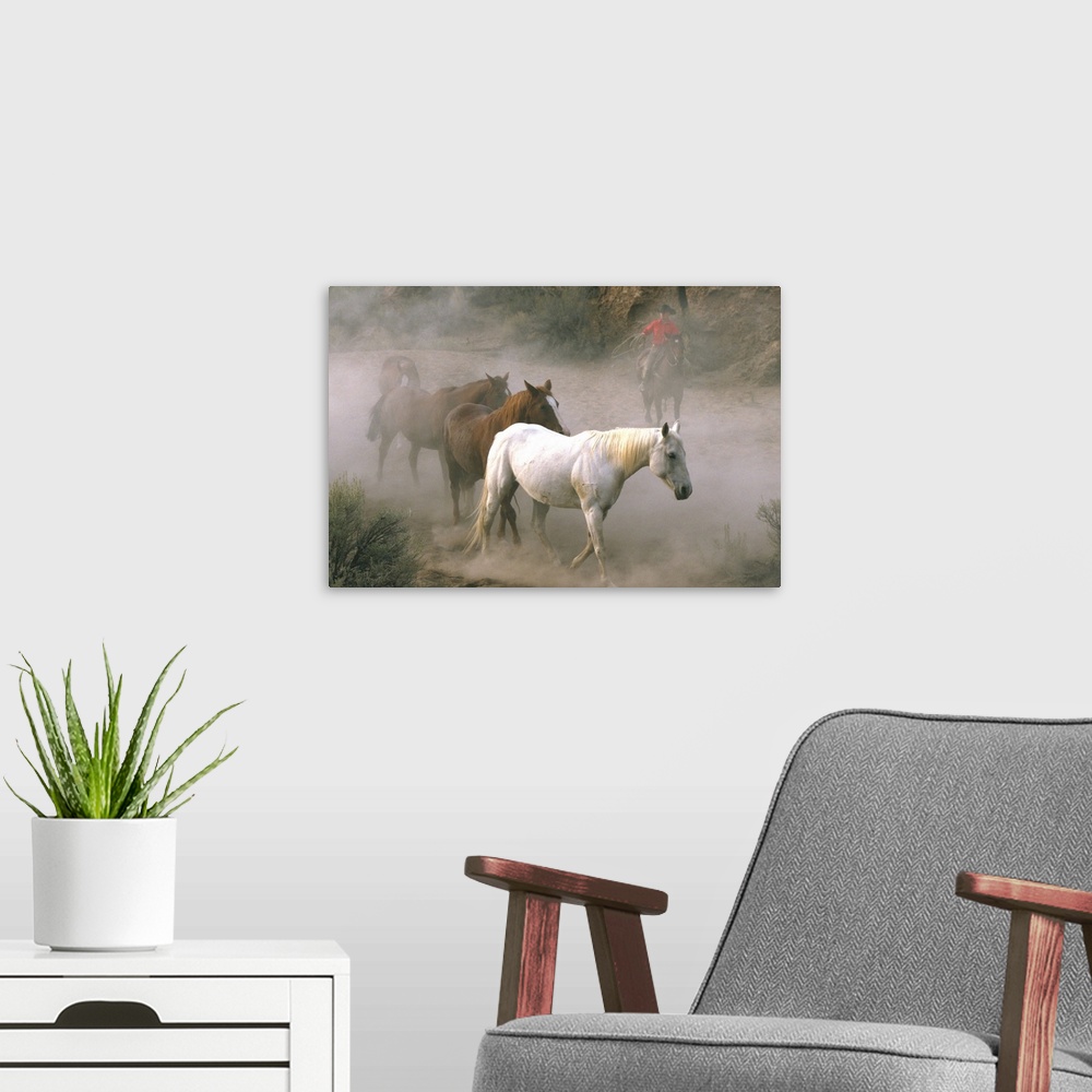 A modern room featuring Wrangler With Horses