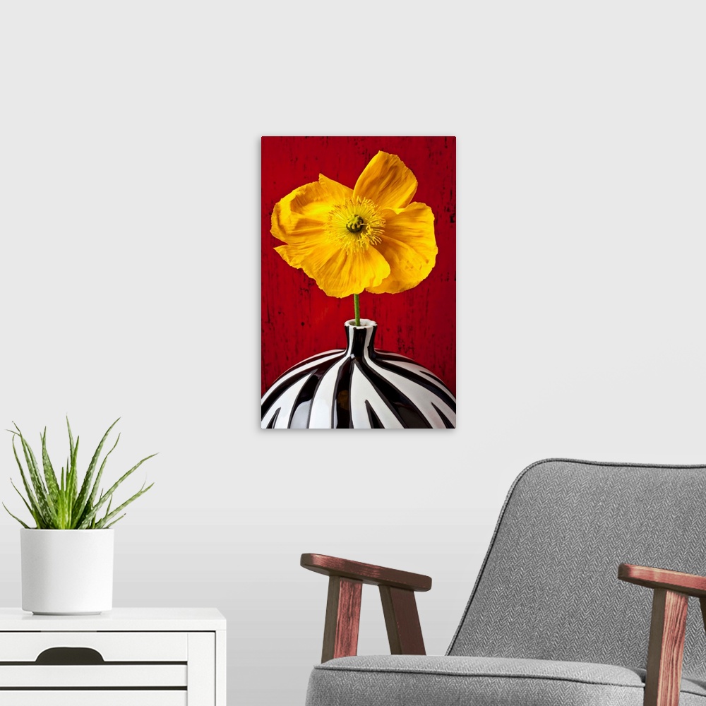 A modern room featuring Yellow Iceland Poppy in striped vase against red wooden wall