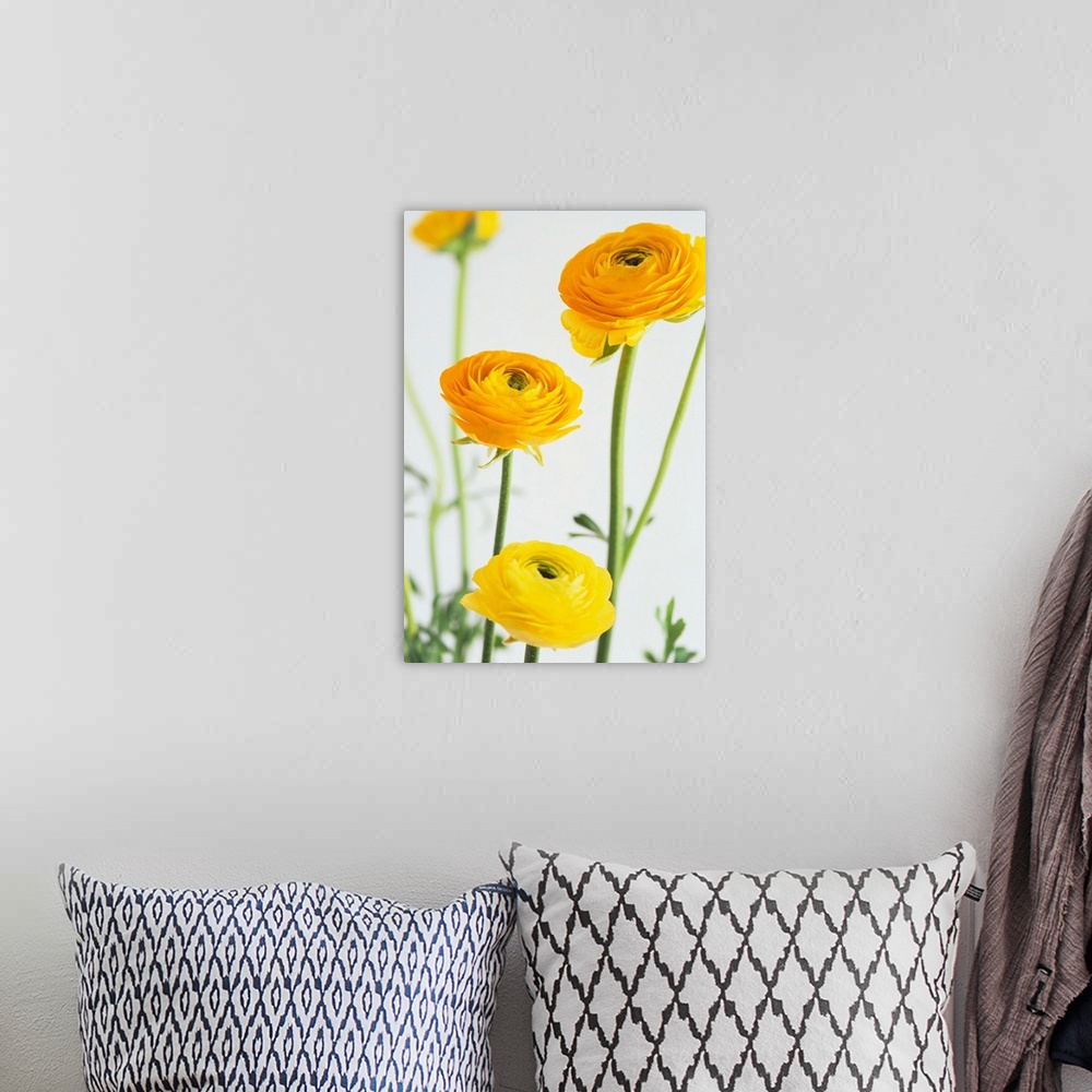 A bohemian room featuring Yellow Ranunculus