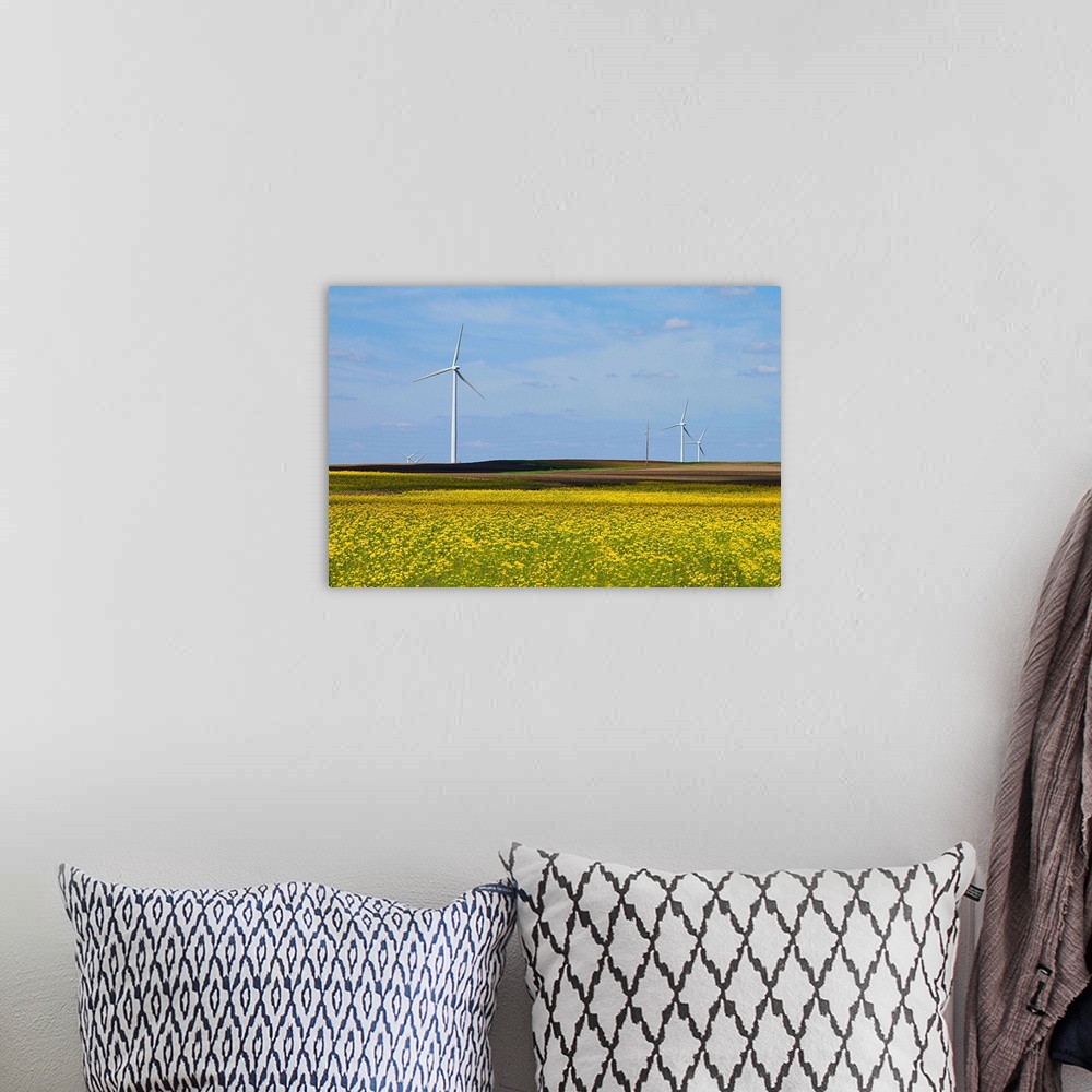 A bohemian room featuring Yellow wildflowers cover field in rural Illinois. Wind turbines are lined up in field.