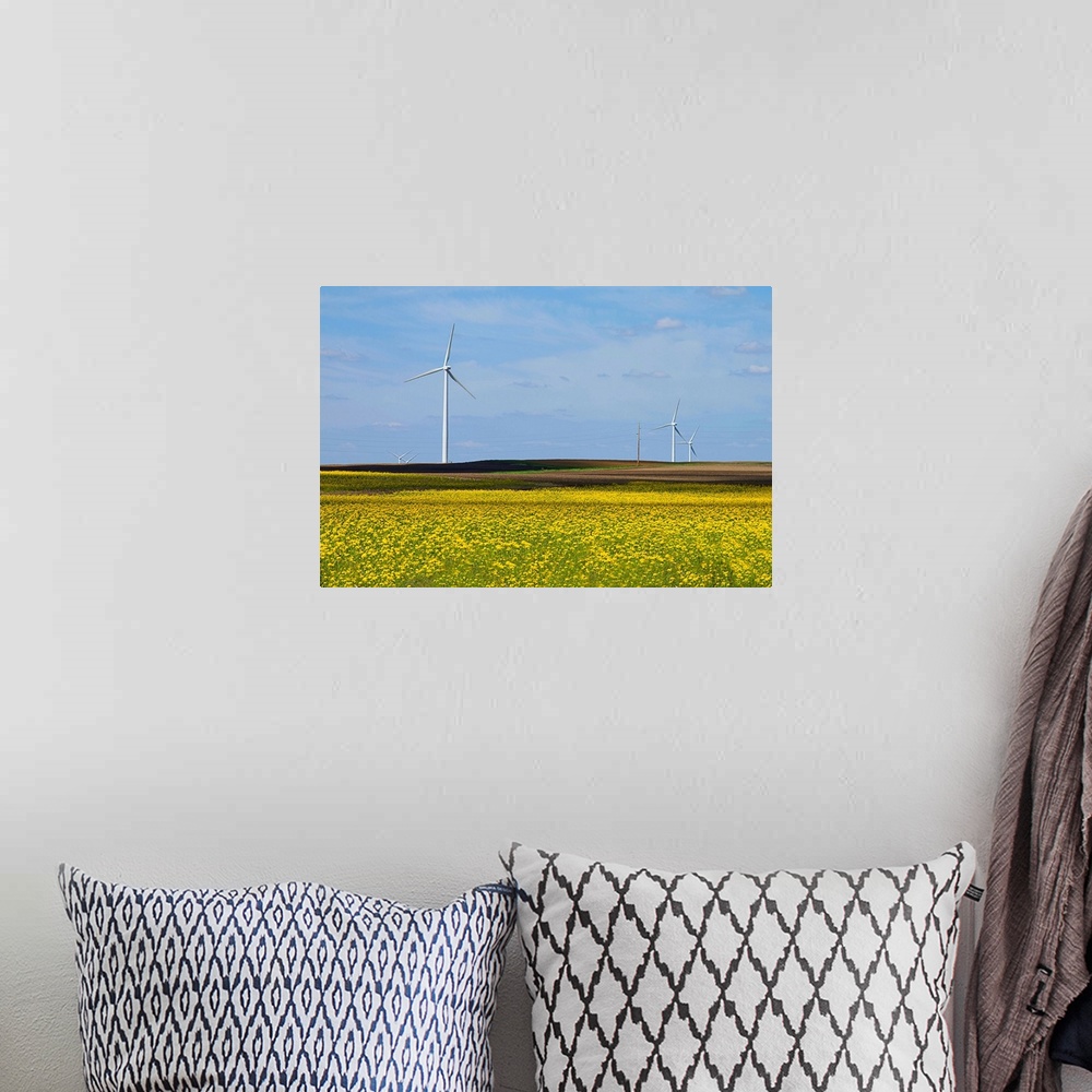 A bohemian room featuring Yellow wildflowers cover field in rural Illinois. Wind turbines are lined up in field.