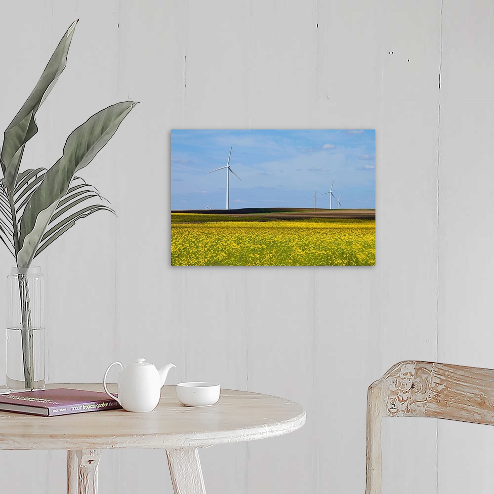A farmhouse room featuring Yellow wildflowers cover field in rural Illinois. Wind turbines are lined up in field.