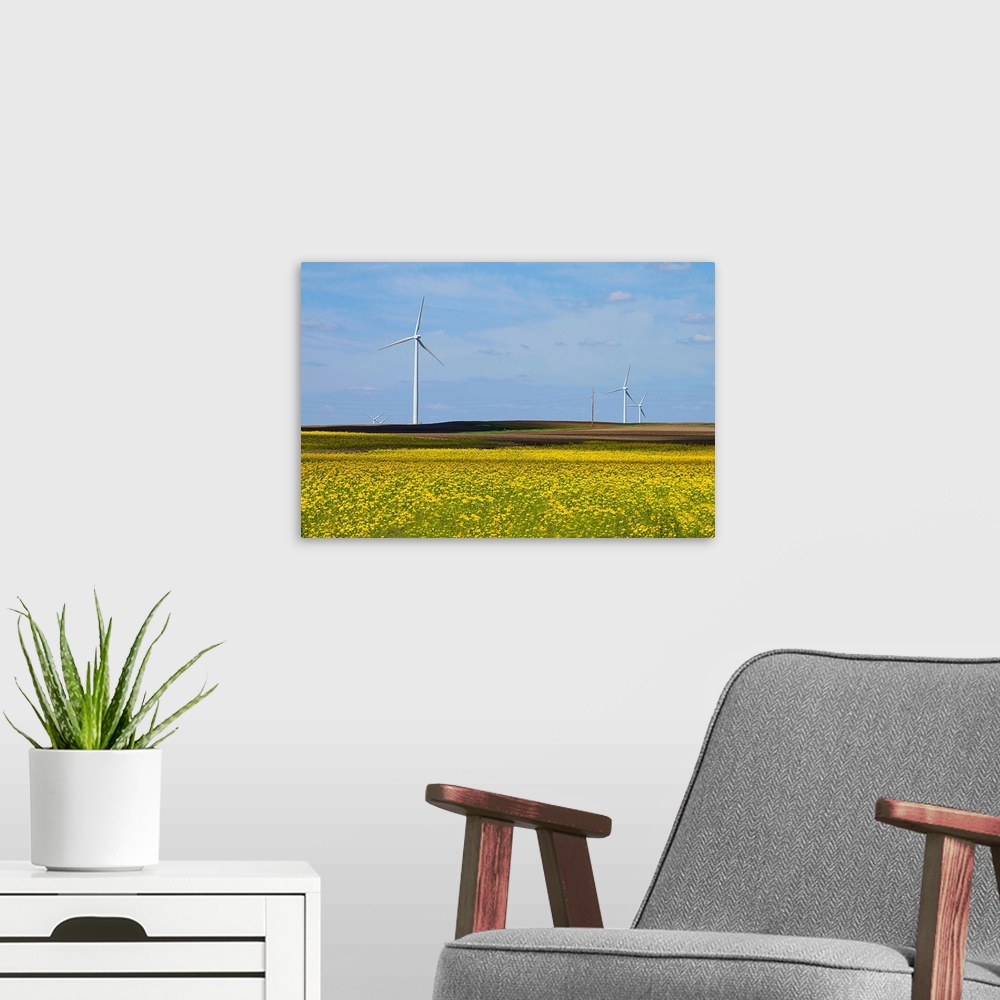 A modern room featuring Yellow wildflowers cover field in rural Illinois. Wind turbines are lined up in field.
