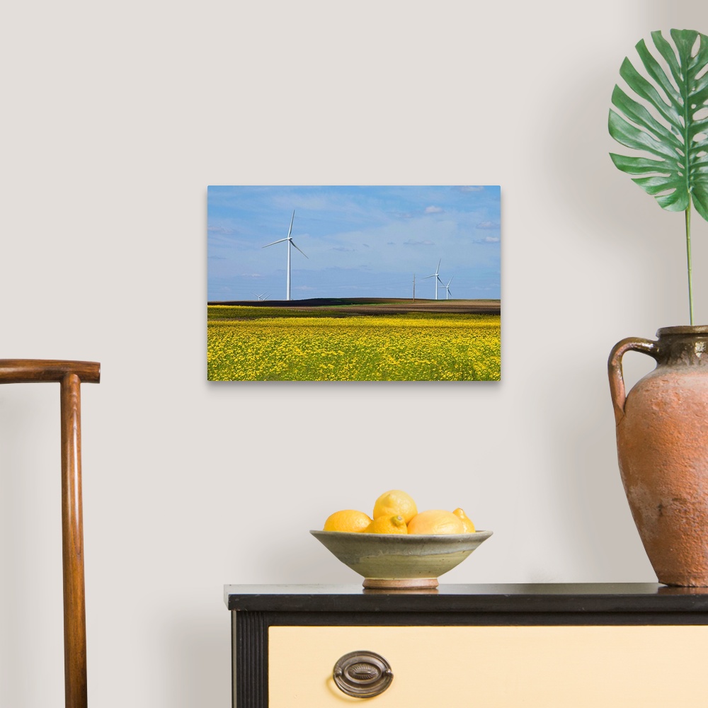 A traditional room featuring Yellow wildflowers cover field in rural Illinois. Wind turbines are lined up in field.