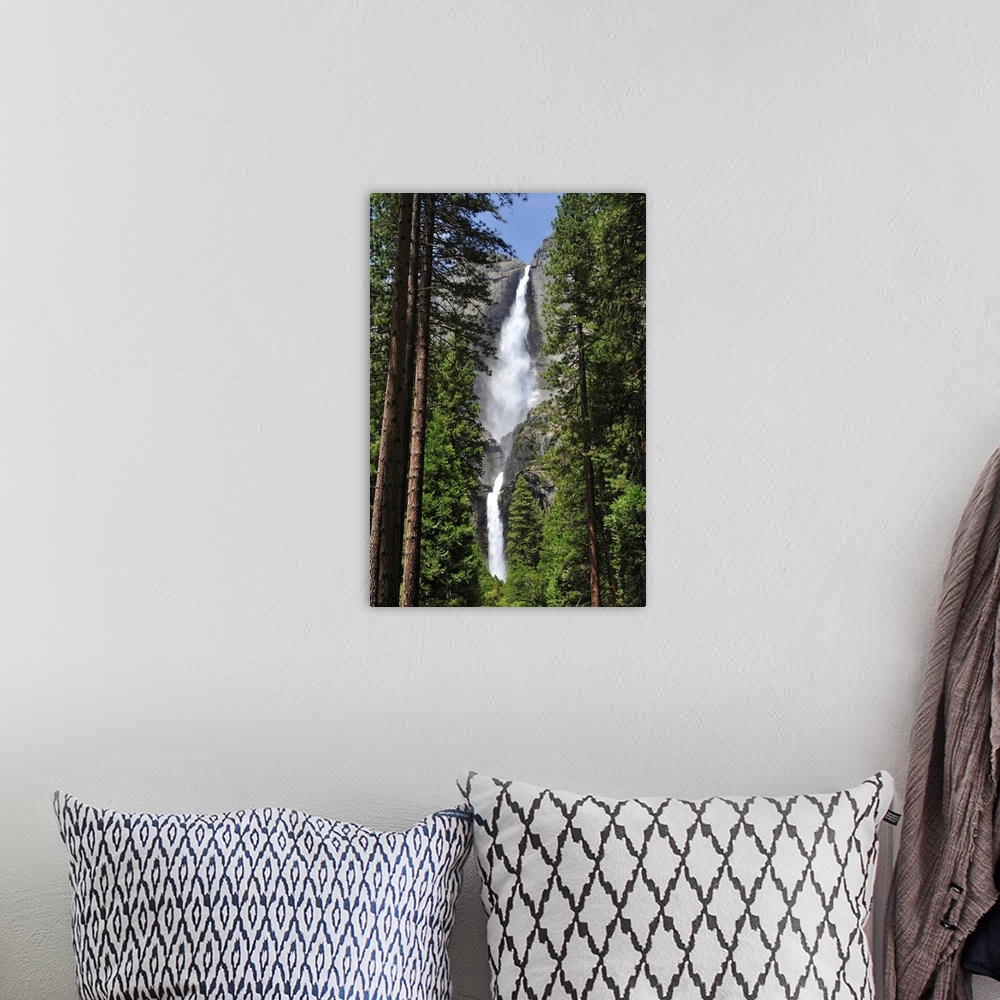 A bohemian room featuring A massive waterfall is photographed through very tall pine trees.