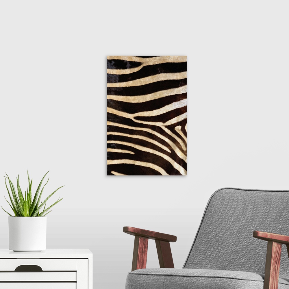 A modern room featuring Zebra pattern is pictured closely and fully takes up this large piece.