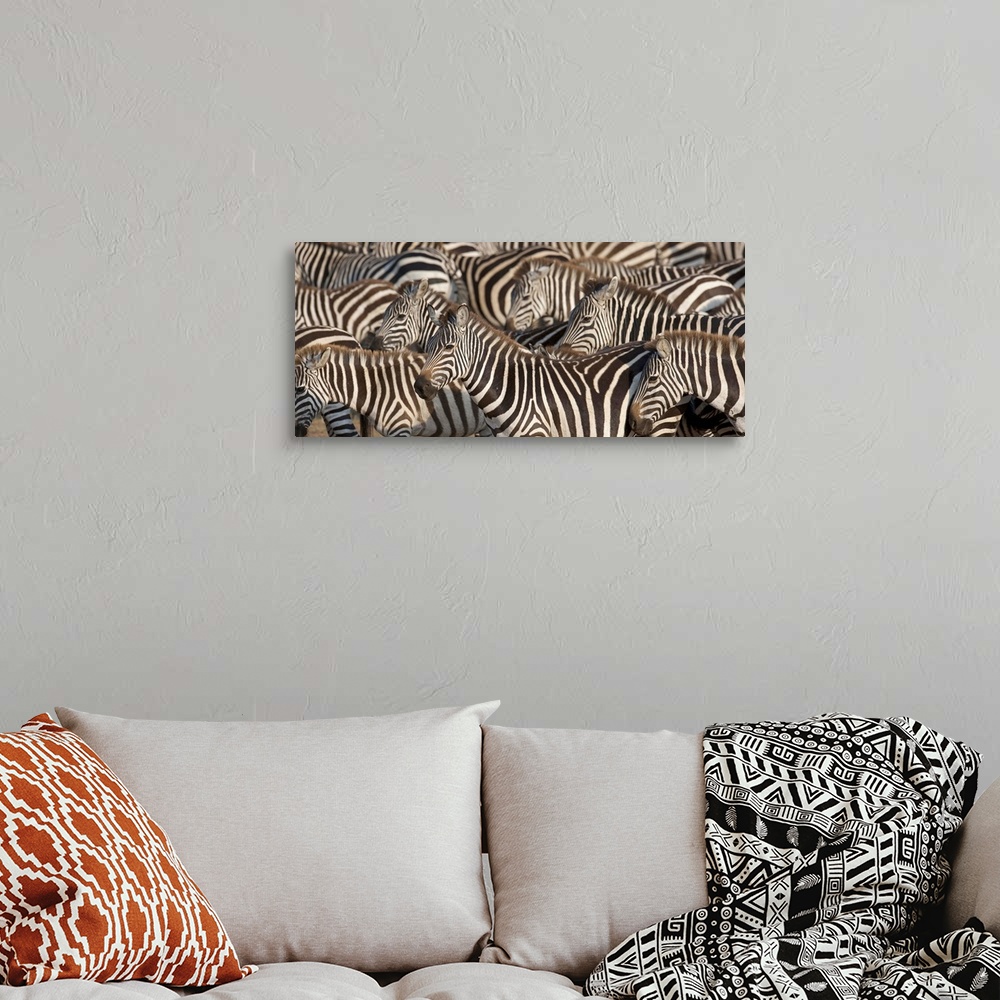 A bohemian room featuring Zebras, Kenya, Africa