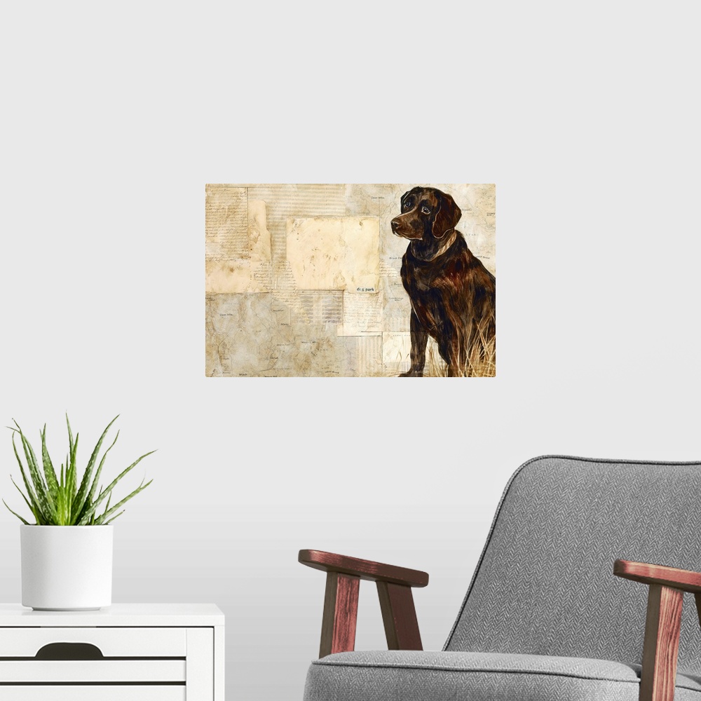 A modern room featuring A Dog's Story 4