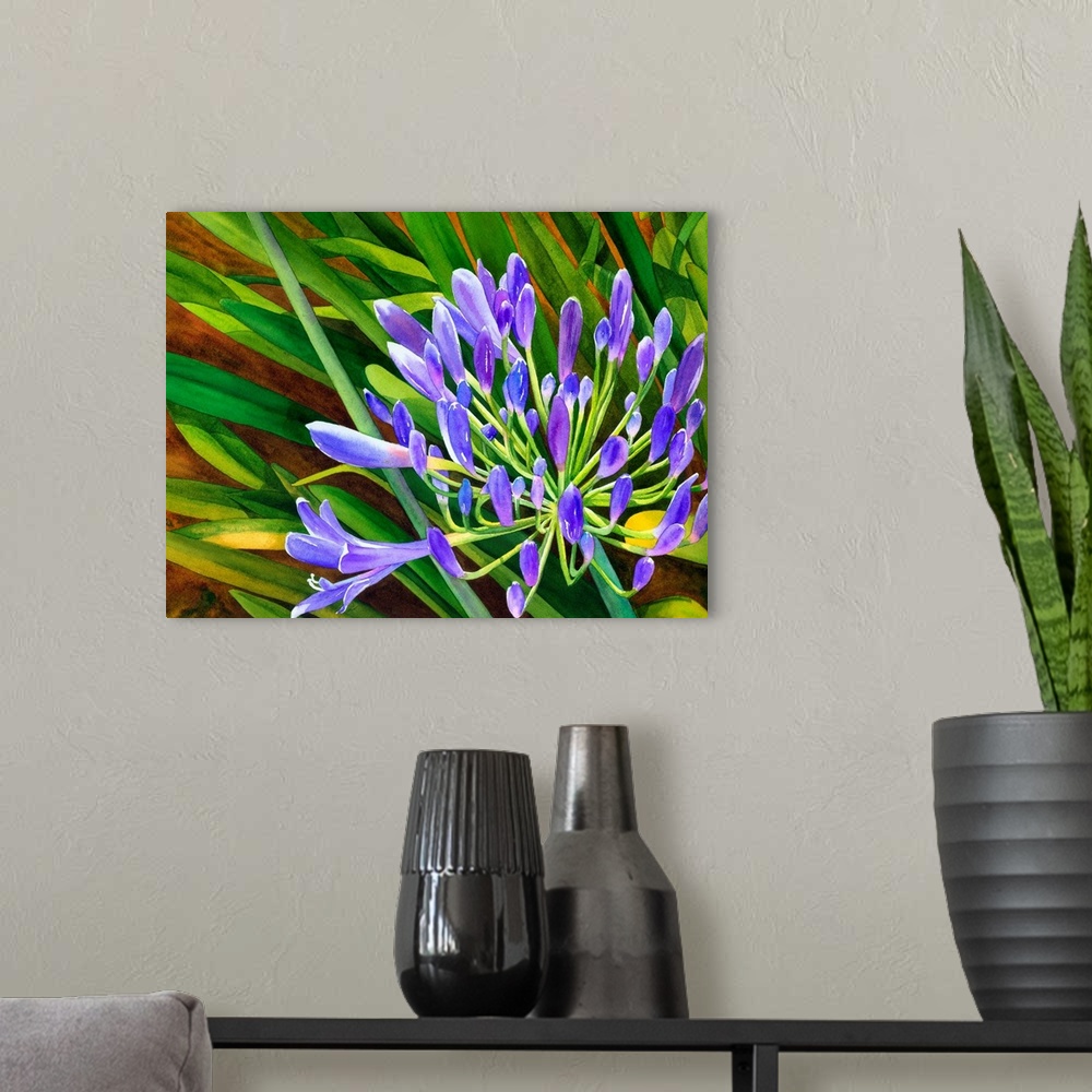 A modern room featuring Agapanthus