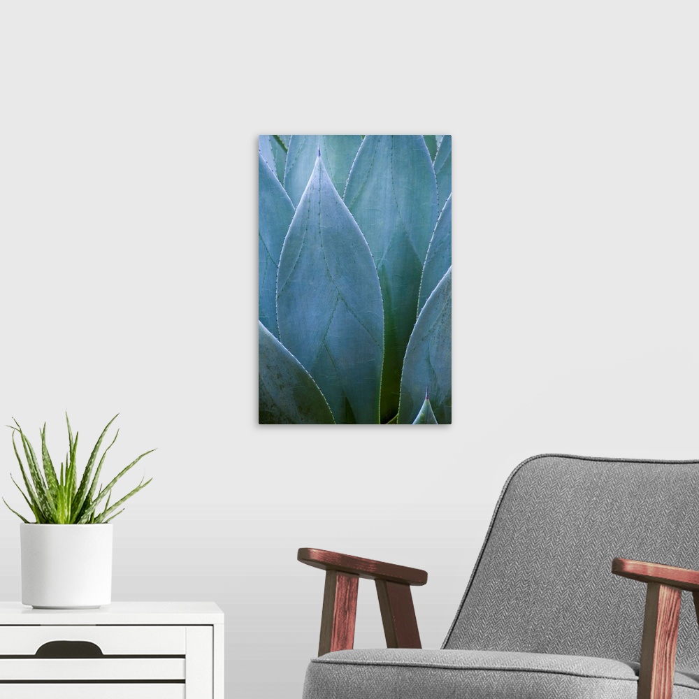 A modern room featuring Agave V