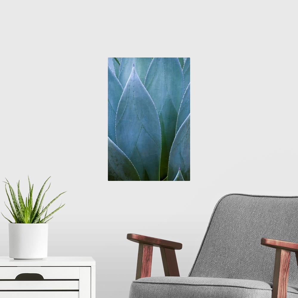 A modern room featuring Agave V
