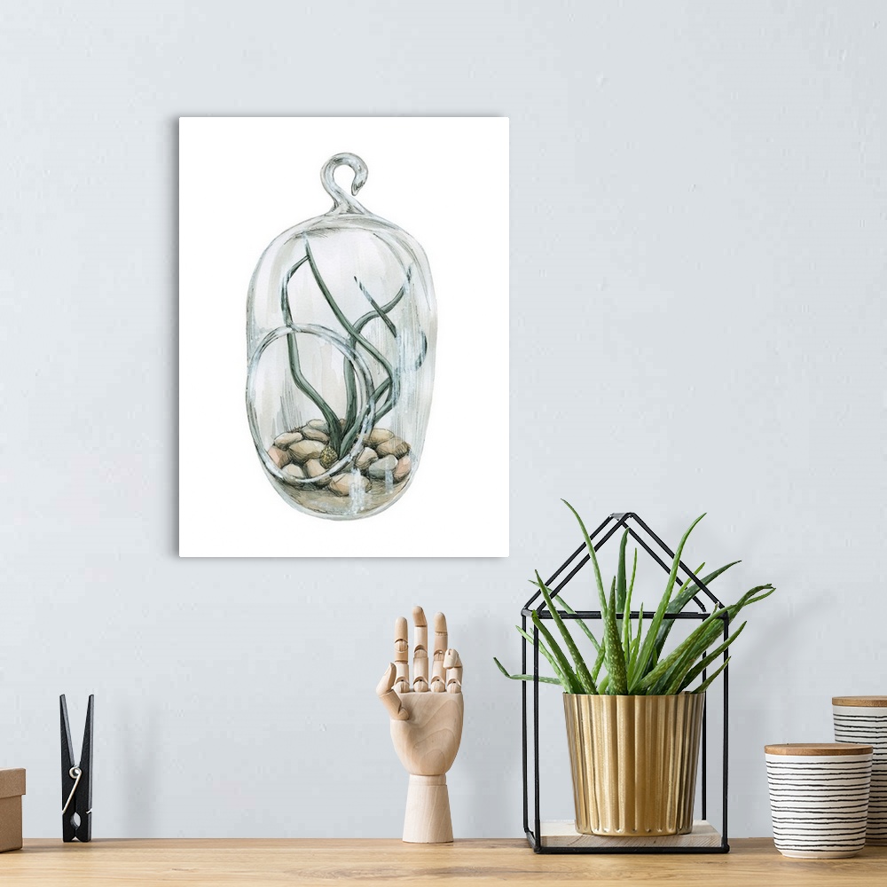 A bohemian room featuring Watercolor painting of an air plant planted in smooth river rocks in a glass hanger on a solid wh...