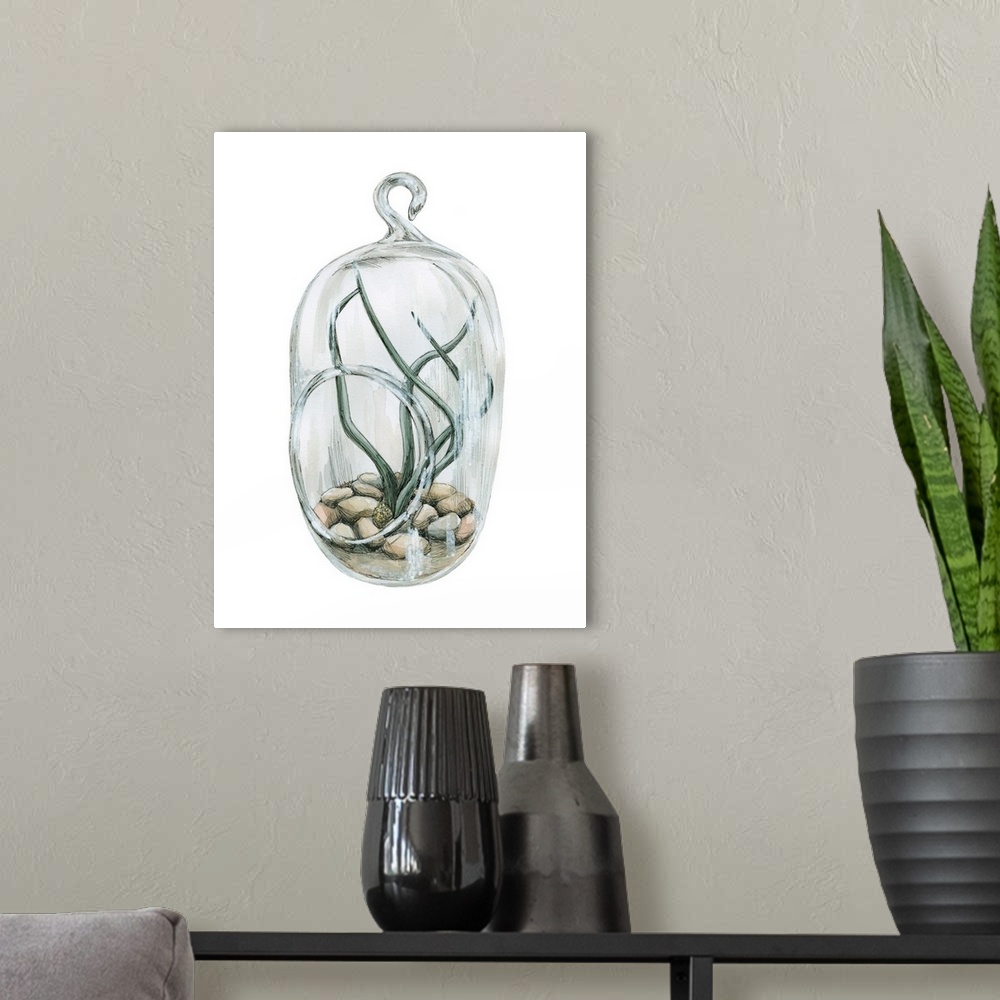 A modern room featuring Watercolor painting of an air plant planted in smooth river rocks in a glass hanger on a solid wh...