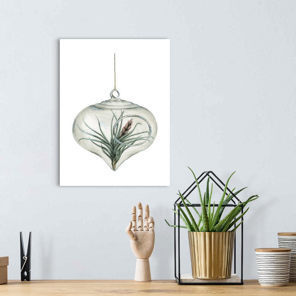 A bohemian room featuring Watercolor painting of an air plant in a glass hanger on a solid white background.