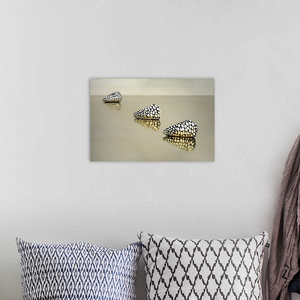 A bohemian room featuring Three spotted shells on a reflective surface.
