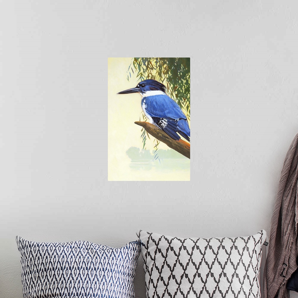 A bohemian room featuring Belted Kingfisher