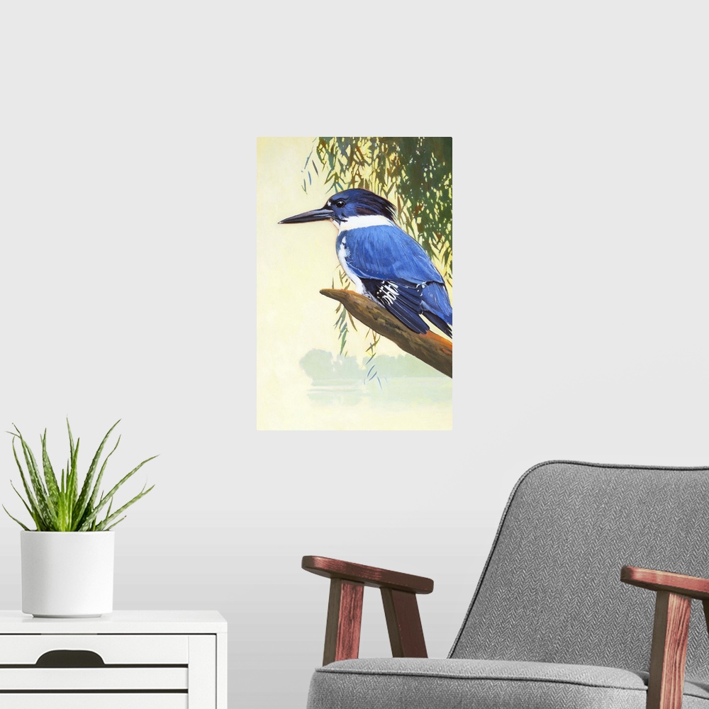 A modern room featuring Belted Kingfisher