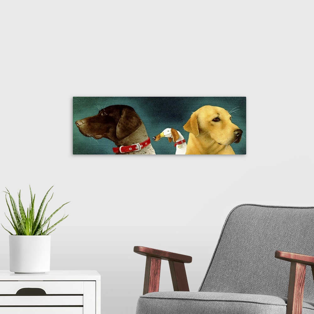 A modern room featuring Bird Dogs