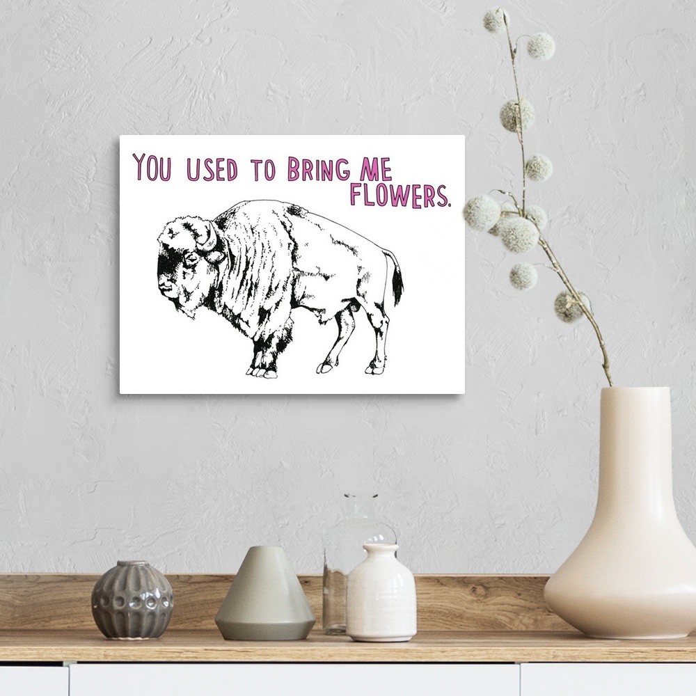 A farmhouse room featuring Black and white illustration of a bison with the phrase "You Use to Bring Me Flowers" handwritten...