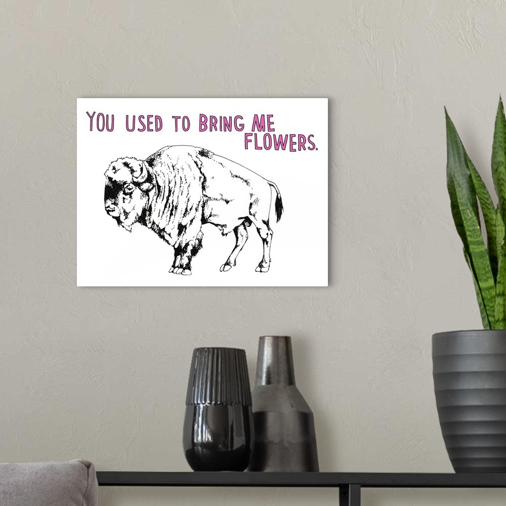 A modern room featuring Black and white illustration of a bison with the phrase "You Use to Bring Me Flowers" handwritten...