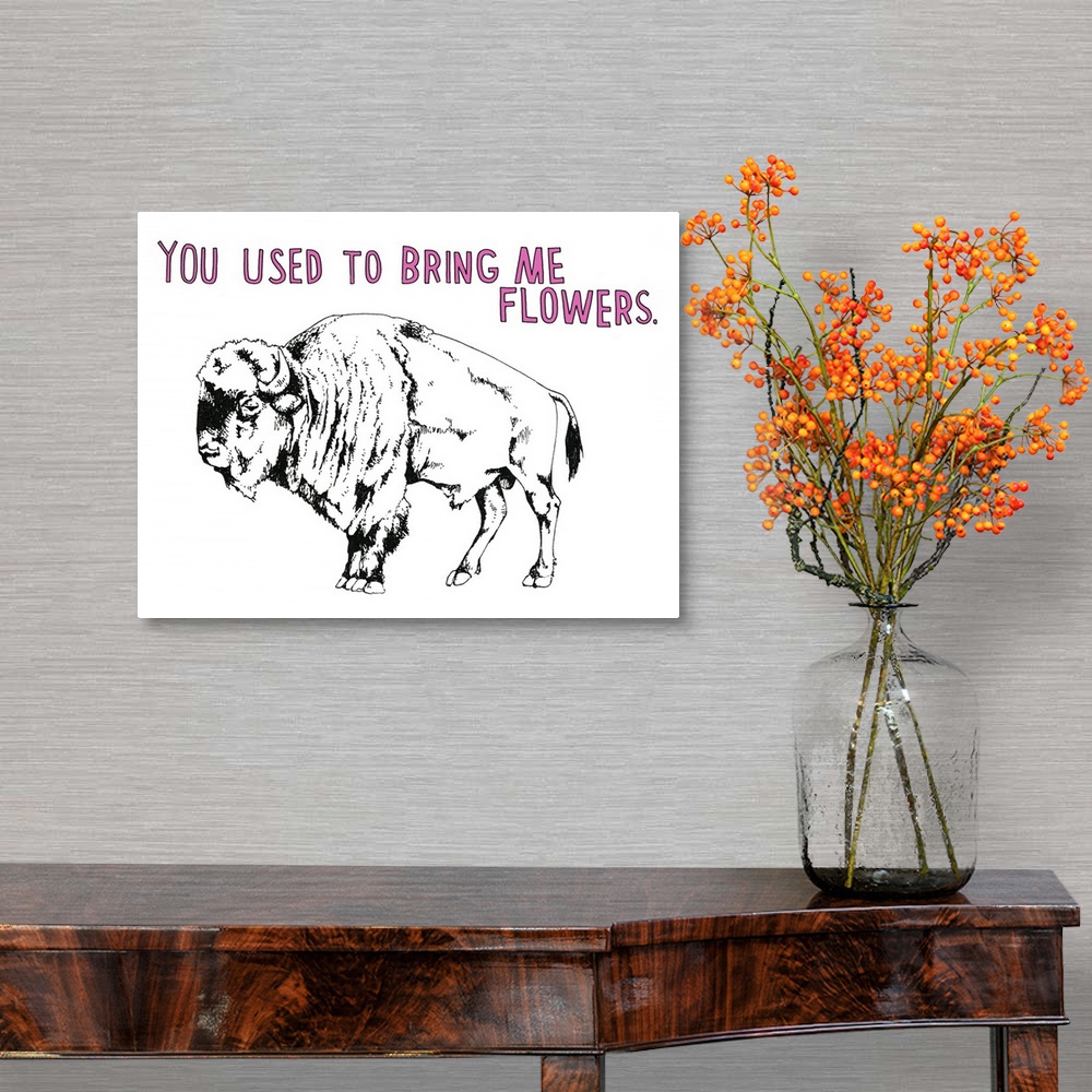 A traditional room featuring Black and white illustration of a bison with the phrase "You Use to Bring Me Flowers" handwritten...