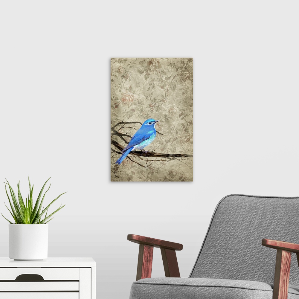 A modern room featuring Blue Bird