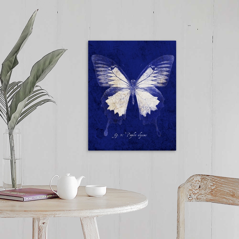 A farmhouse room featuring Blue Mountain Butterfly Cyanotype