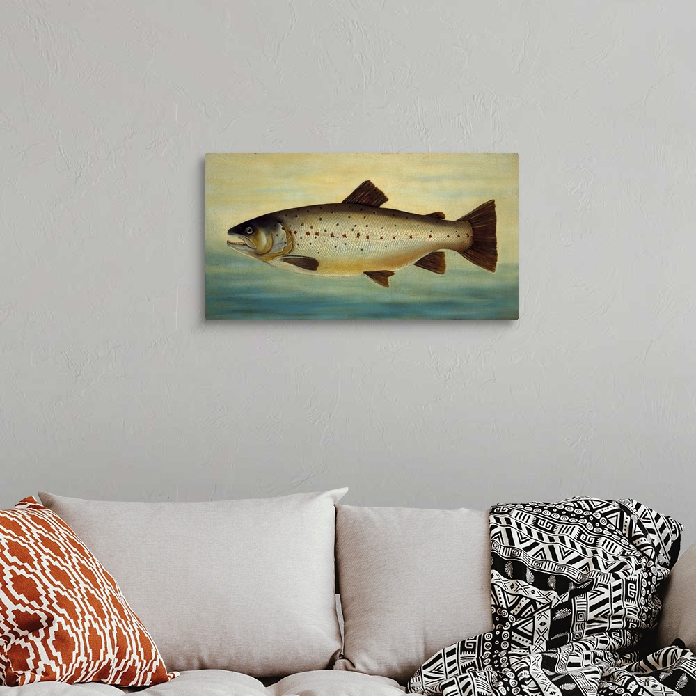 A bohemian room featuring Brown Trout