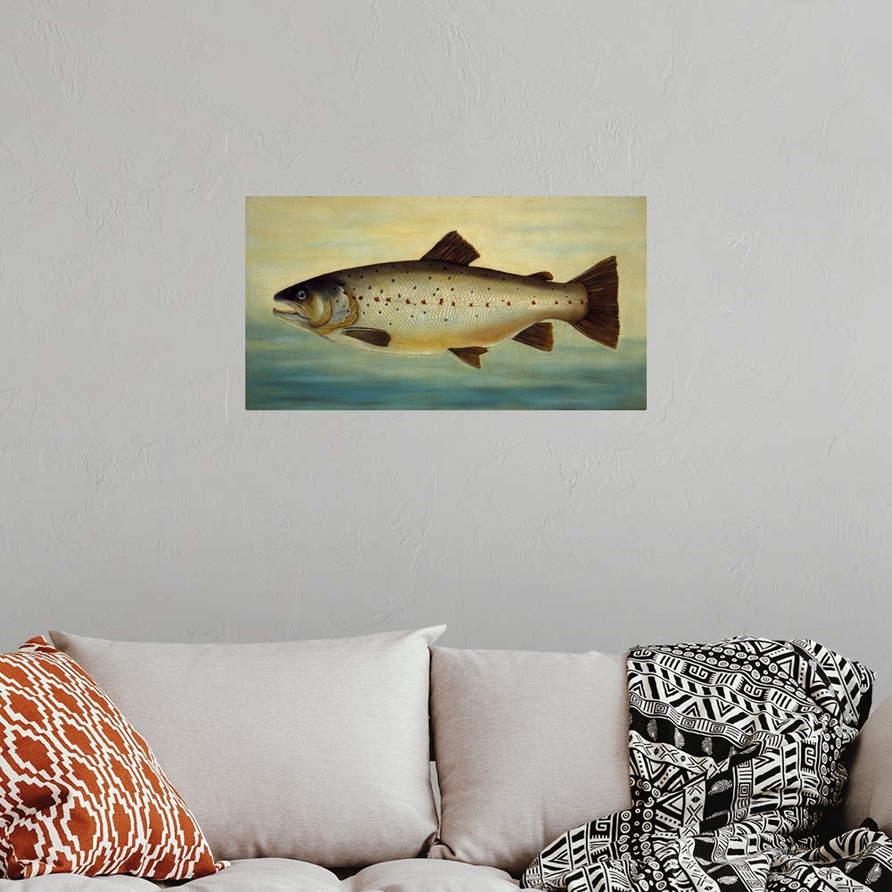 A bohemian room featuring Brown Trout