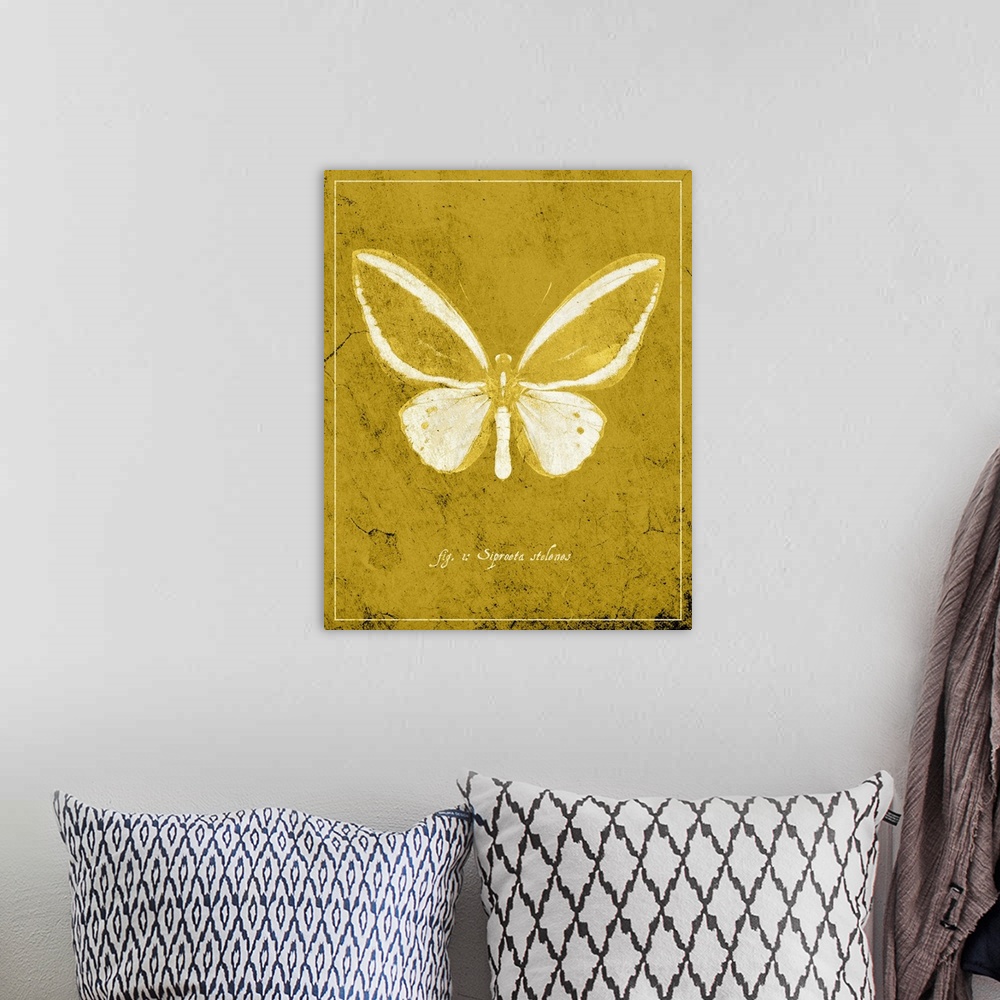 A bohemian room featuring Butterfly XI