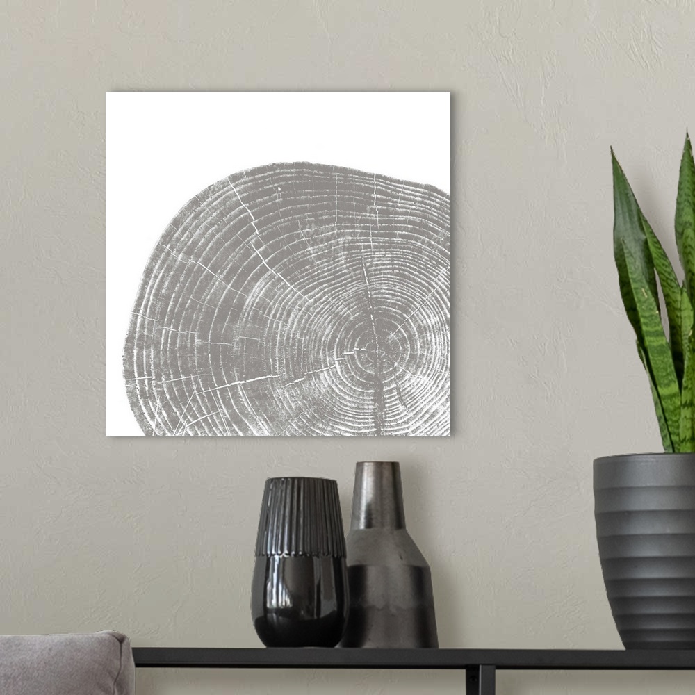 A modern room featuring Cross-section of a tree trunk showing the rings in the wood in grey.