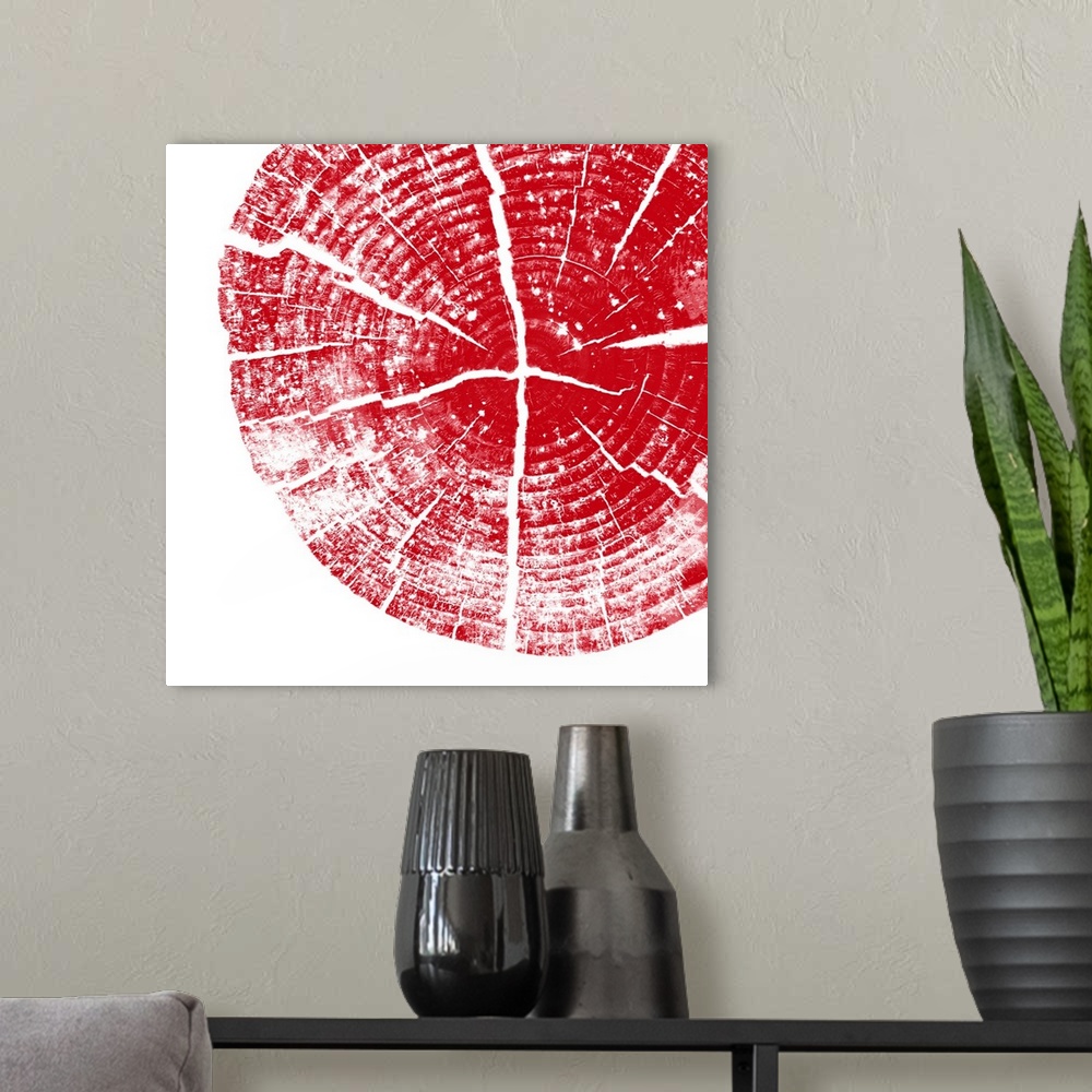 A modern room featuring Cross-section of a tree trunk showing the rings in the wood in red.